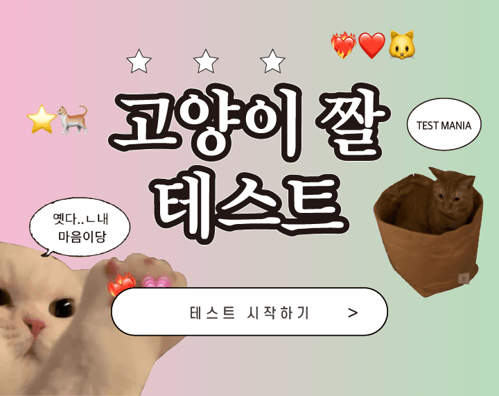 고양이 짤 테스트 게임시작 인트로